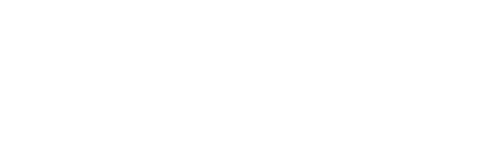 Chronicle